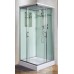 Душевая кабина Weltwasser WW500 Laine 1002 100x100