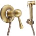 Гигиенический душ Rav Slezak Labe Mosaz L047SM