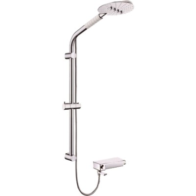 Душевая стойка Weltwasser WW DP 10251 хром