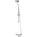 Душевая стойка Weltwasser WW TS 6060 хром