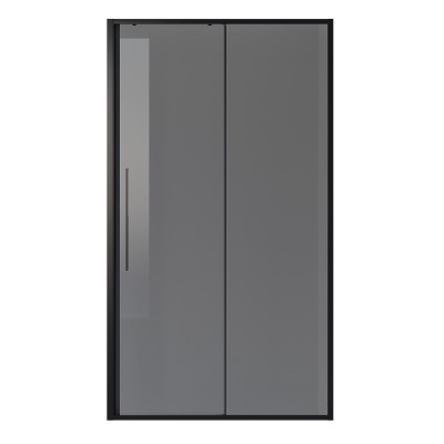 Душевая дверь в нишу Niagara NG-85-12TB 120x195