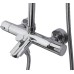 Душевая стойка Weltwasser WW TS 6270 хром