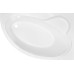 Акриловая ванна Royal Bath Alpine RB 819102 R 170x100
