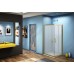 Душевой уголок Good Door Jazze CR-80-G-BR 80x80