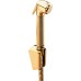 Гигиенический душ Bossini Nikita C04045 ORO