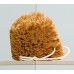Душевой уголок Radaway Torrenta KDJ 100x90 прозрачное стекло R