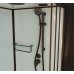 Душевая кабина Frank F418L Black 100x80