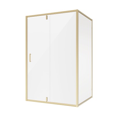 Душевое ограждение Niagara NG-43-12AG-A110G 120x110