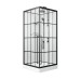 Душевая кабина Niagara ST100/15QR/KL/BKT 100x100