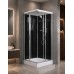 Душевая кабина Weltwasser WW500 Laine 1002 BL 100x100